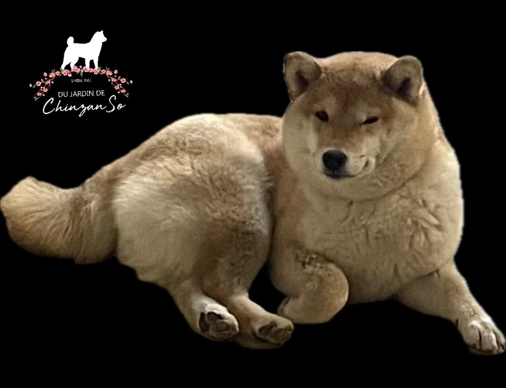 DES BEBES POUR FIN D'ANNEE 